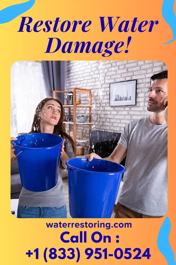 water restoration North Water Restoration Inc Camanche