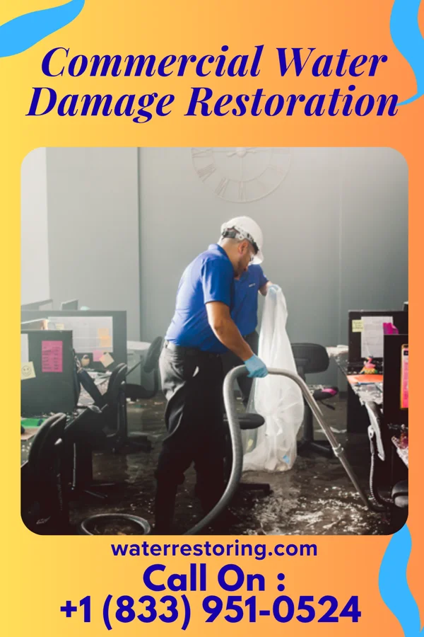 Commercial Water Damage Restoration in Camanche, IA
