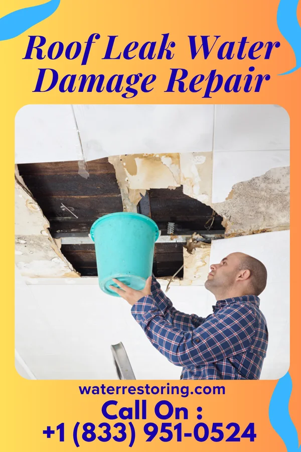 Roof Leak Water Damage Repair in Camanche, IA