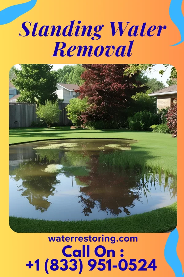 Standing Water Removal in Camanche, IA